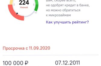 Беспроцентный микрозайм без проверок в 2026 году реальность или рекламный ход Беспроцентный микрозайм без проверок в 2026 году реальность или рекламный ход