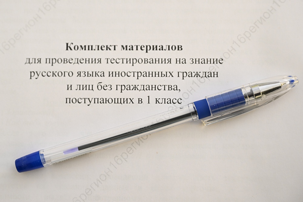 Володин: Всего 27 детей мигрантов из 1762 сдали экзамен - Российская газета