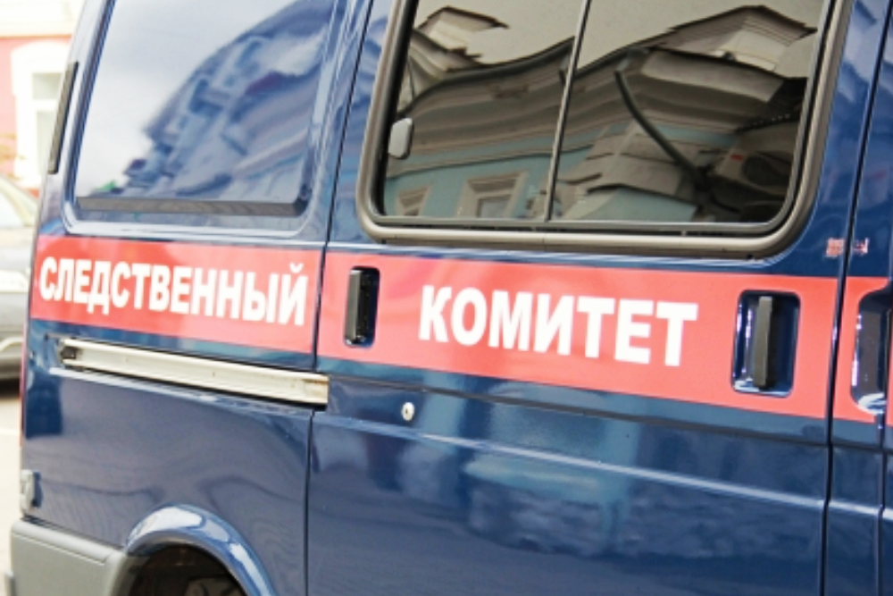 Жителя Красноярска задержали за истязание двухлетнего пасынка - Российская газета